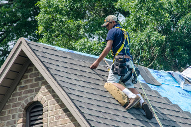 Best Storm Damage Roof Repair  in Moenkopi, AZ